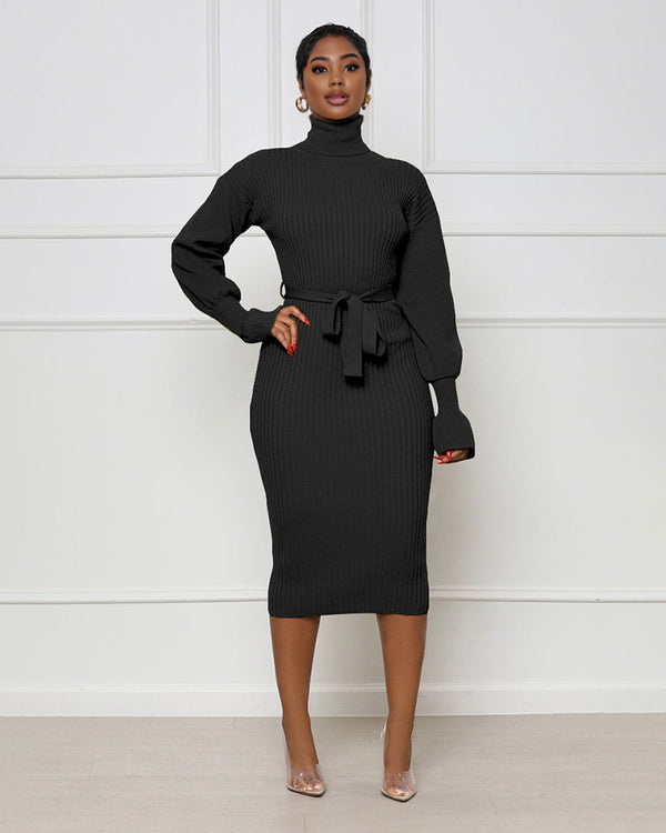 Fine Line High Neck Sweater Dress